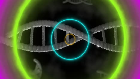 animation of dna strand with glowing neon circles in scientific visualization