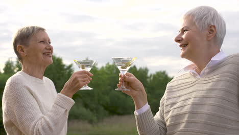 Dos-Mujeres-Hablando-Y-Tomando-Una-Copa-Al-Aire-Libre-1