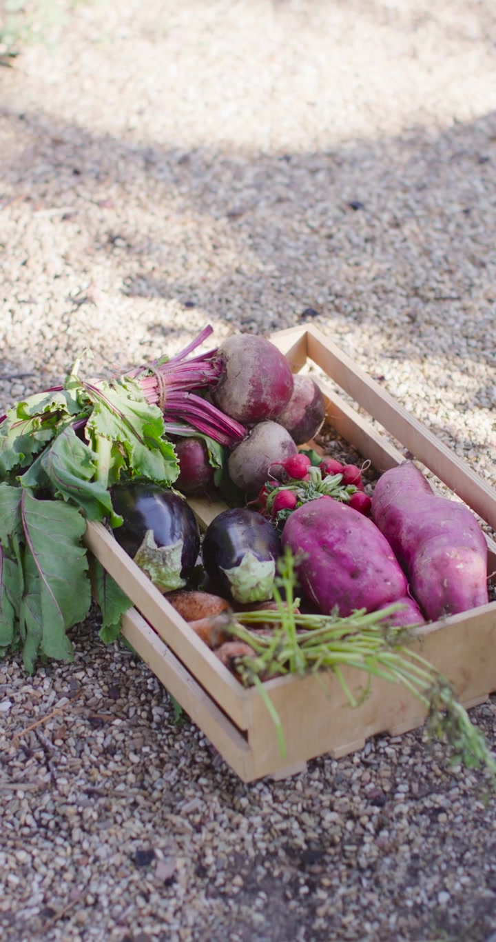 Vertical video: Shot, camera moving closer tilting right on gravel, focusing crate with produce