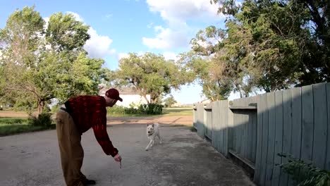 Cámara-Lenta---Hombre-Entrenando-A-Un-Perro-Husky-Blanco-Para-Saltar-Y-Atrapar-Un-Objeto