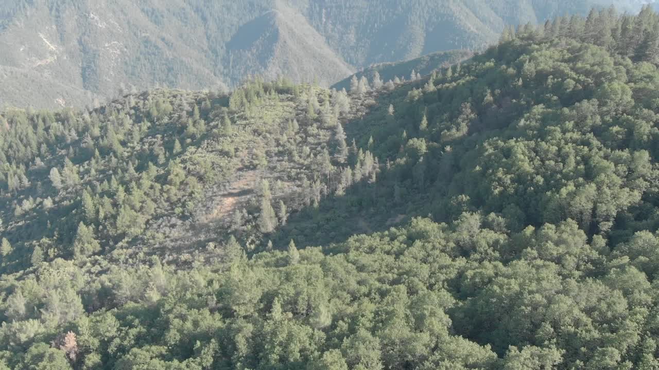 una escena tranquila de frondosos árboles del bosque y altas montañas en foresthill, california, creando una atmósfera pacífica en el corazón de la belleza de la naturaleza.
