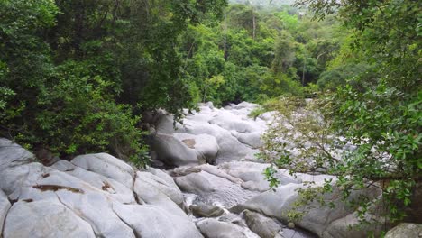 River-mountain-forest-green-wild-clean-water-creek-stream-slow-aerial