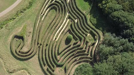 Top-down-birdseye-aerial-of-a-maze-that-is-in-the-shape-of-a-Swan