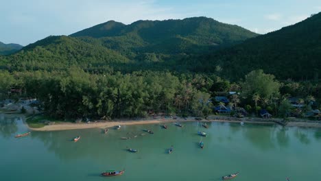 aerial view of tropical island beach with boats