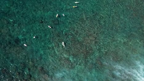 drone shot flying over surfers in crystal clear water with reef underneath them