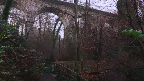 Camino-Forestal-Hacia-Un-Alto-Puente-De-Piedra.