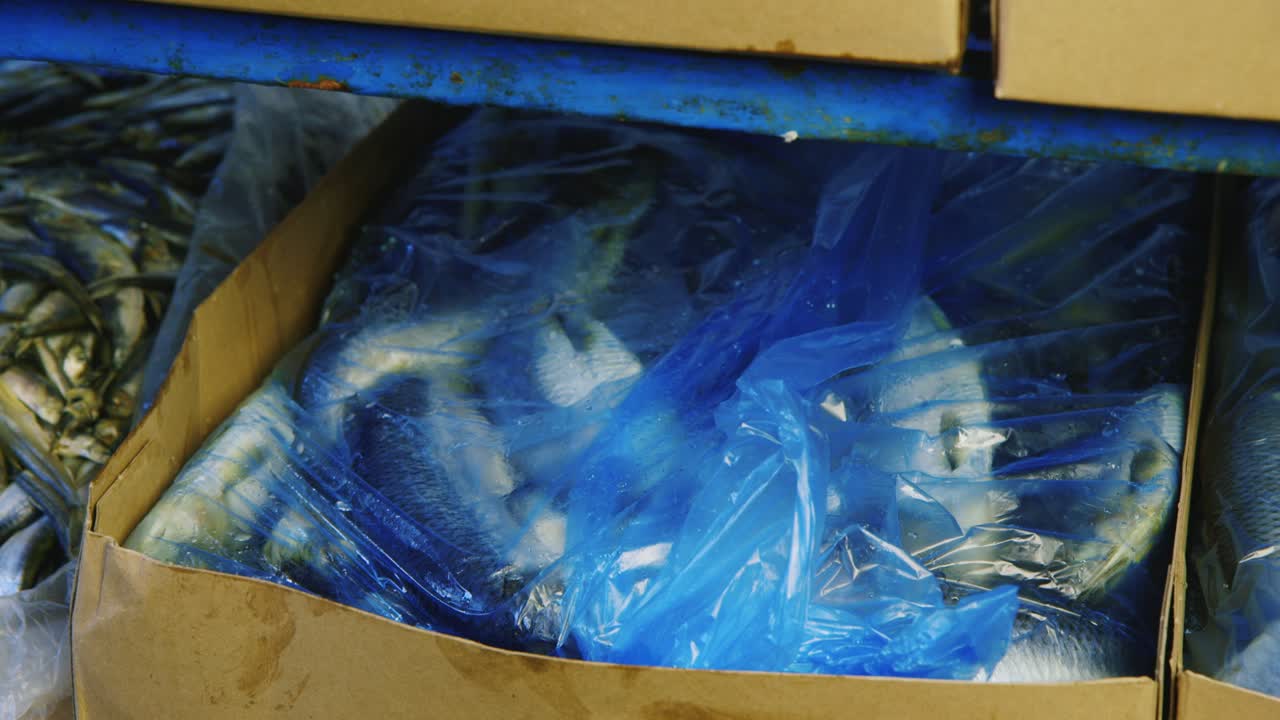 냉동 생선 상자는 재고에 보관됩니다.