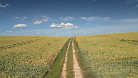 aerial footage of lincolnshire, with a summer crop of wheat and barley, and a small country road cutting through the rural scene, tractor tracks