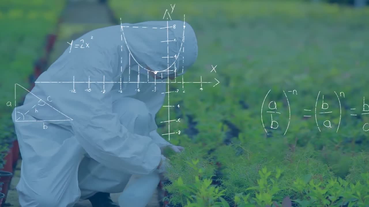 식물학자 분사 식물