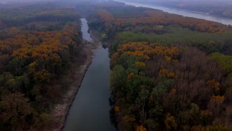 Flowing Stream Through Forests With Autumnal Foliage During Sunrise In Danube River. Aerial Drone Shot