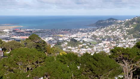 aerial view of wellington city, new zealand