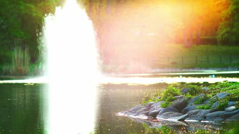 Waters-plash-in-the-park-Sunlight-splash-Nature-trees,-flowers,-branches,-beautiful-greenish-plants-in-Pildammsparken-Malmö-Sweden