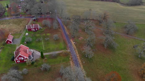 Aerial-view-of-red-houses,-country-road-and-green-land-in-rural-area