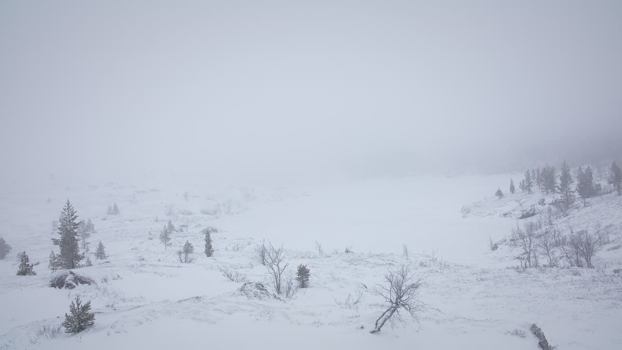 A winter scene of a snow-covered landscape with sparse trees and dense mist obscuring the horizon.