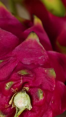 close-up view of dragon fruits on display