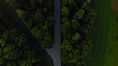 Smooth flight over a forest, following its centered street and upswinging camera movement to the orange colored horizon at the sunrise.