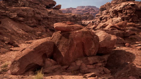 red rock formations in a desert canyon
