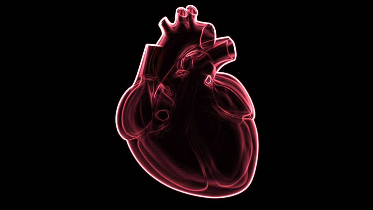 Medical animation of a red, x-ray style human heart beating on an isolated black background. For cardiology and health concepts