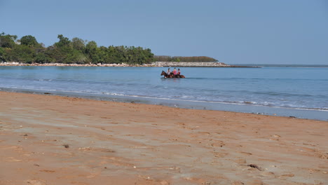 caballos en la playa