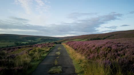 a slow drone tracking shot low over single track road and purple heather