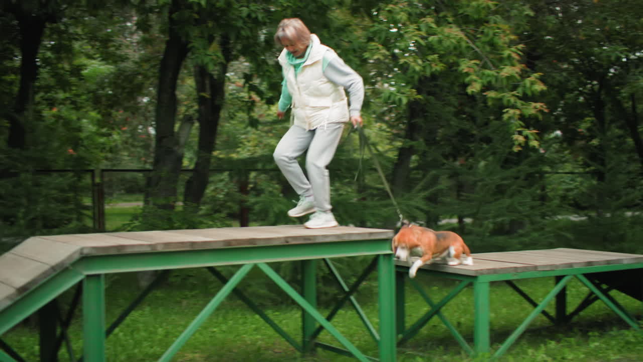 Handler running over trail of obstacles with bulldog reaching finish line giving pet on head showing affection teamwork and success in grassy outdoor park environment surrounded by lush green trees