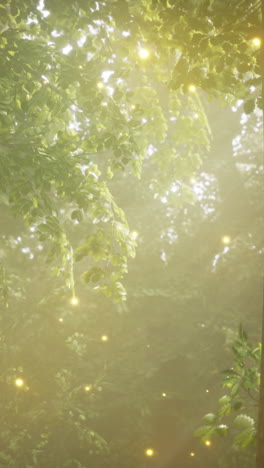 enchanted forest with fireflies