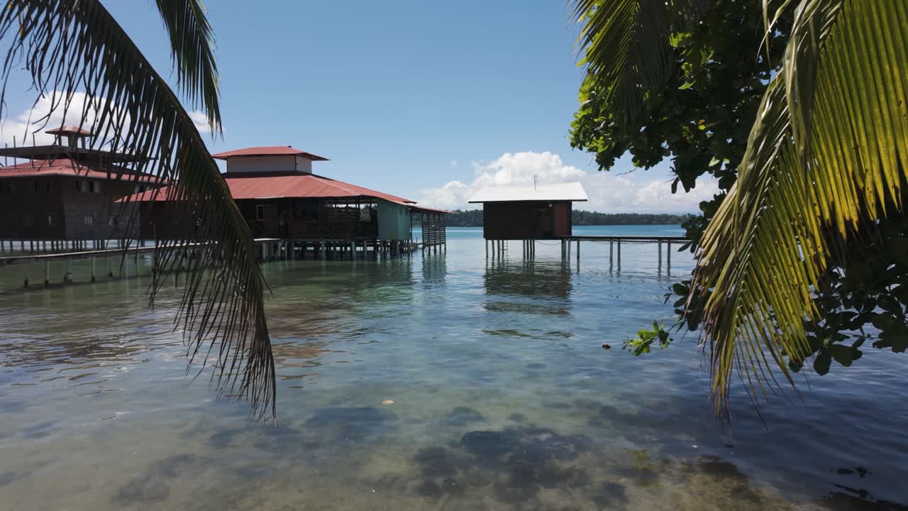 vista panorámica de las casas frente al mar sobre aguas claras y poco profundas rodeadas de vegetación exuberante en la isla de bastimentos, bocas del toro, panamá
