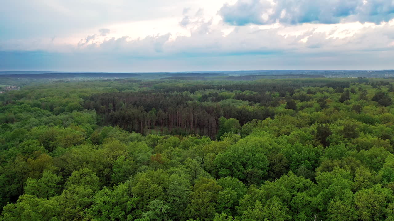 Aerial view of green forest under the cloudy sky. Scenic landscape of tranquil atmosphere among green trees of a forest outdoors. Flying over the tops of trees.