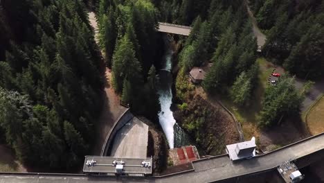 lush green landscape fromthe water reservoir in wynoochee lake dam, washington