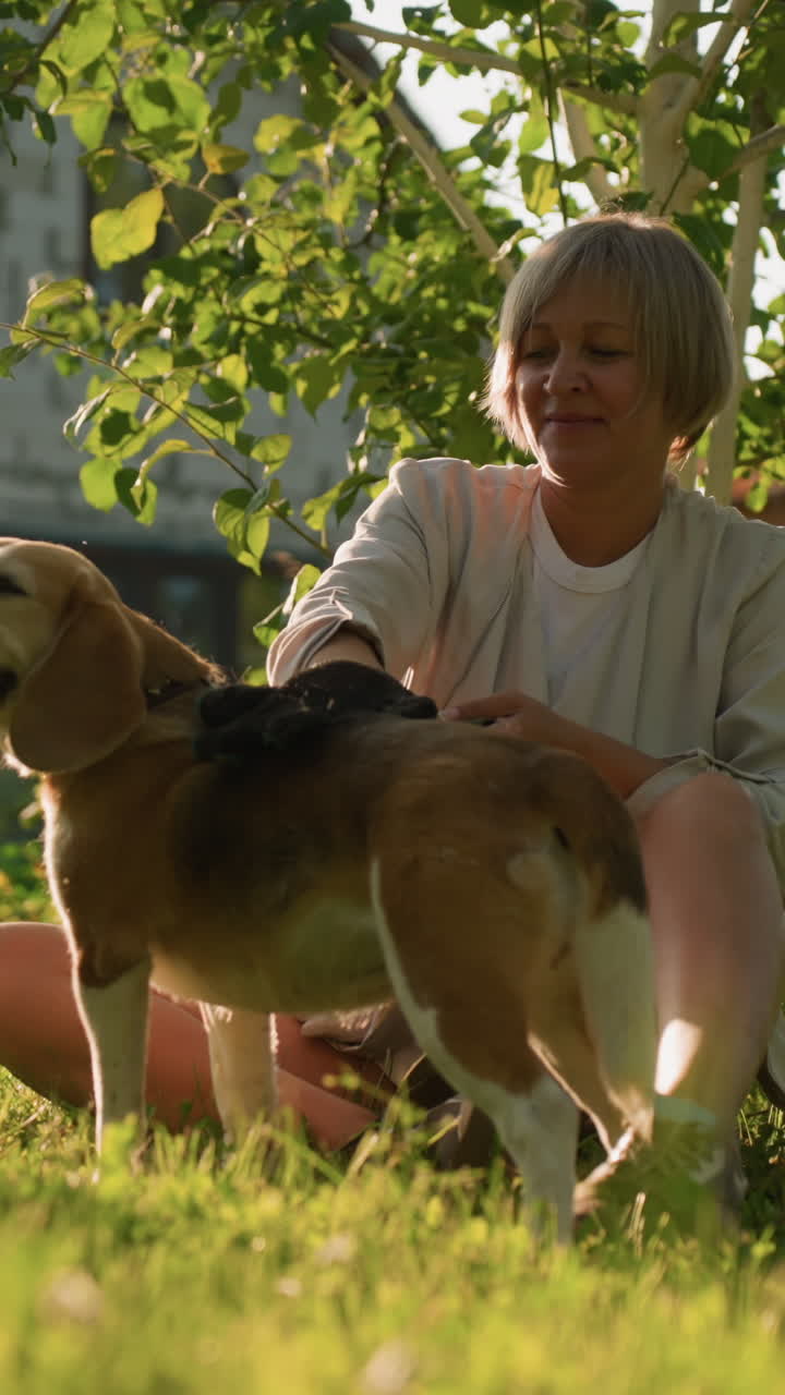 amante de mascotas usando guante de aseo para frotar la espalda del perro cariñosamente hasta su cola, sonriendo cálidamente mientras el perro disfruta del aseo, con pelaje volando alrededor, fondo borroso con vegetación y edificios