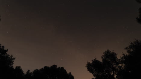 Tree-silhouettes-and-glowing-starry-night-sky,-time-lapse