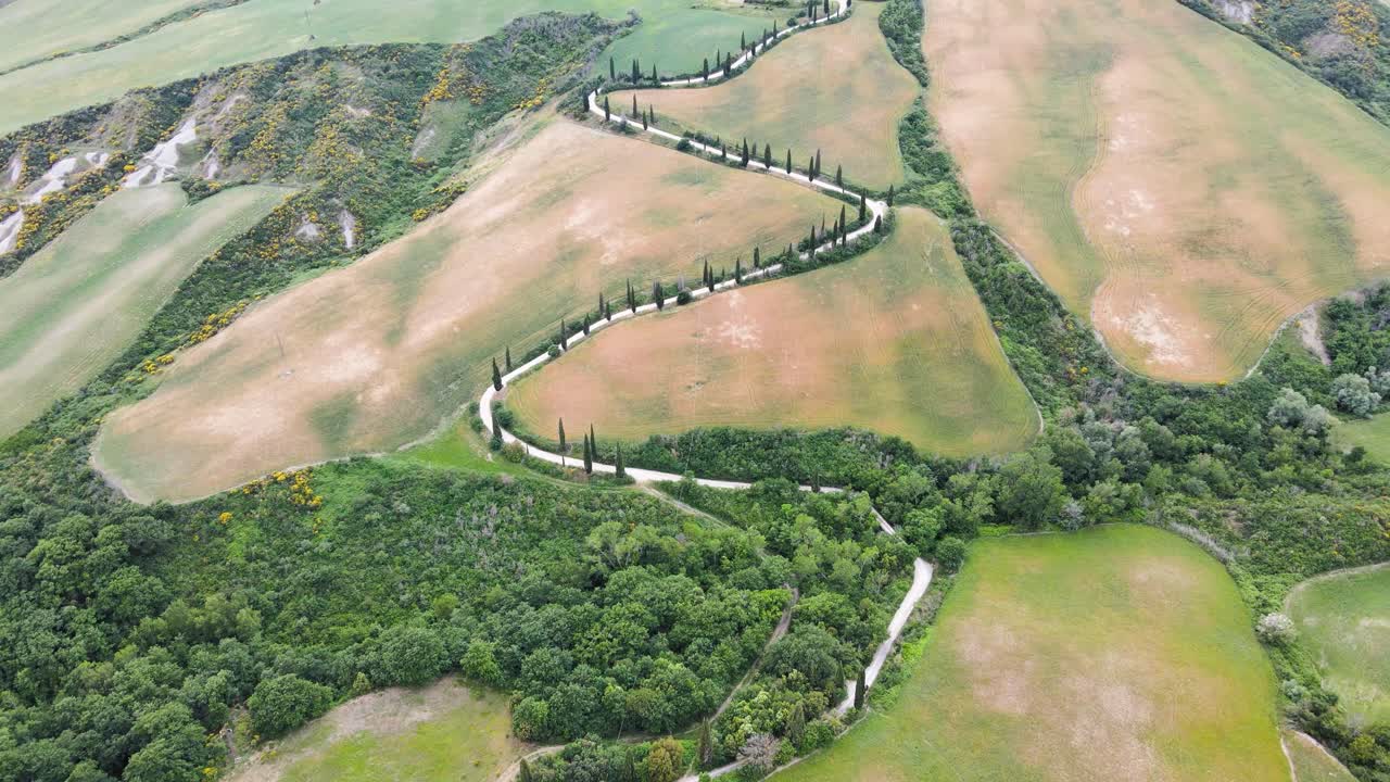 monticchiello val d'orcia 마을 근처 사이프러스 나무로 둘러싸인 도로