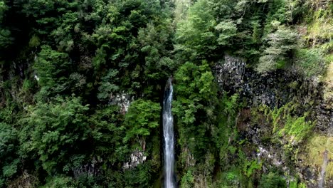 Aerial-pan-down-of-long-waterfall-amongst-forested-trees,-Madiera,-Portugal