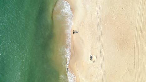 Radfahrer-Fährt-Am-Goldenen-Strand-Entlang