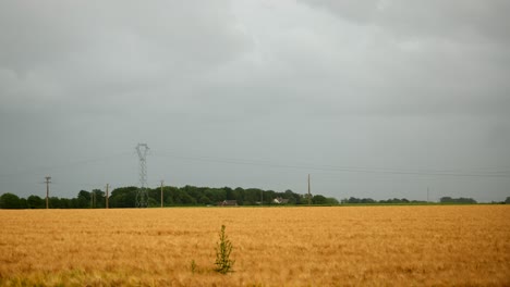 thunderstorm-showing-lightning-and-thunder