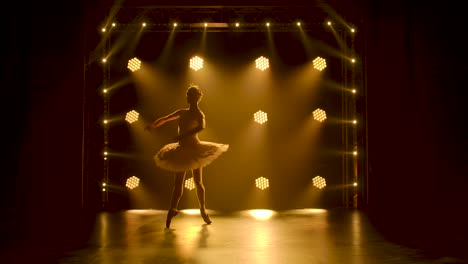 Graceful ballerina dancing white swan part dancin 4k 2025 08 05 01 13 44 utc (2).mov | action, art, background, ballerina
