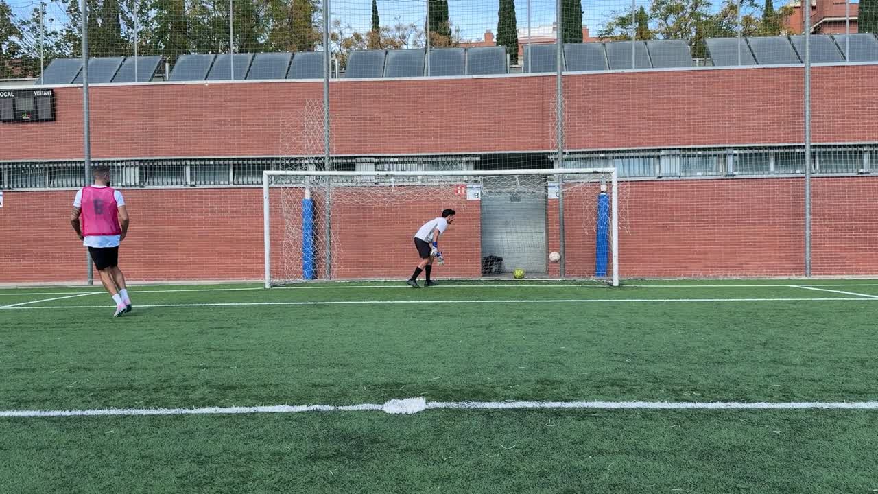 Soccer game on a field with a goal and goalkeeper