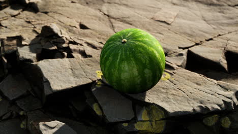 bayas de frutas de sandía en piedras rocosas