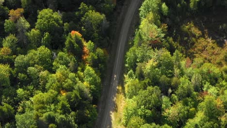 aerial footage of remote forest in northern maine top down close up of dirt road leading to camps on a lake