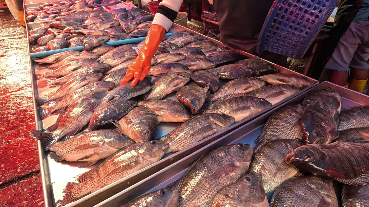 arreglar y vender pescado en un puesto de mercado
