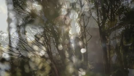 animación de bokeh sobre el bosque y las hojas.