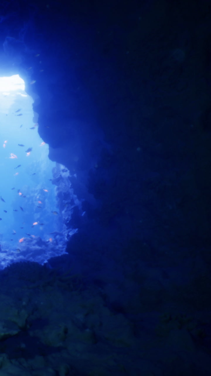 Exploring the magical underwater cave filled with vibrant marine life