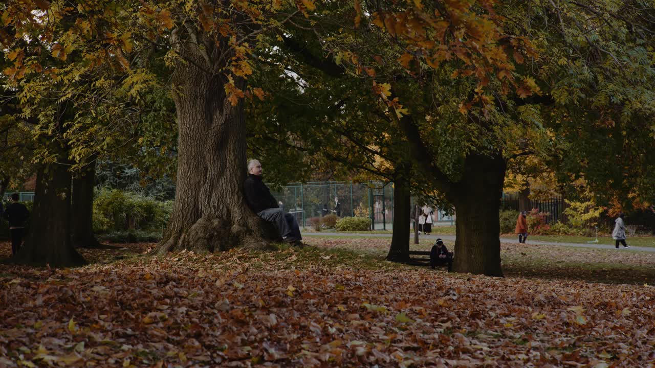 Man relaxing at Western Park against Tree Stump, Autumn Season, University of Sheffield Campus, Sheffield, South Yorkshire, UK.