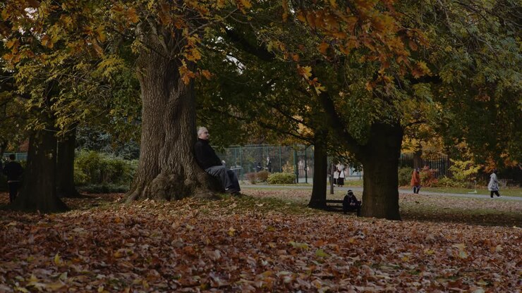 Man relaxing at Western Park against Tree Stump, Autumn Season, University of Sheffield Campus, Sheffield, South Yorkshire, UK.