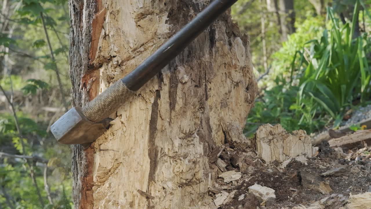 나무에 도끼를 꽂는 남자의 슬로우 모션 샷