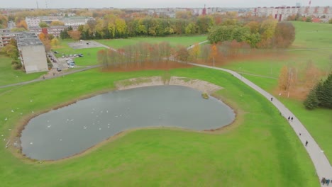 一座水池在城市公园里,海<unk>飞过