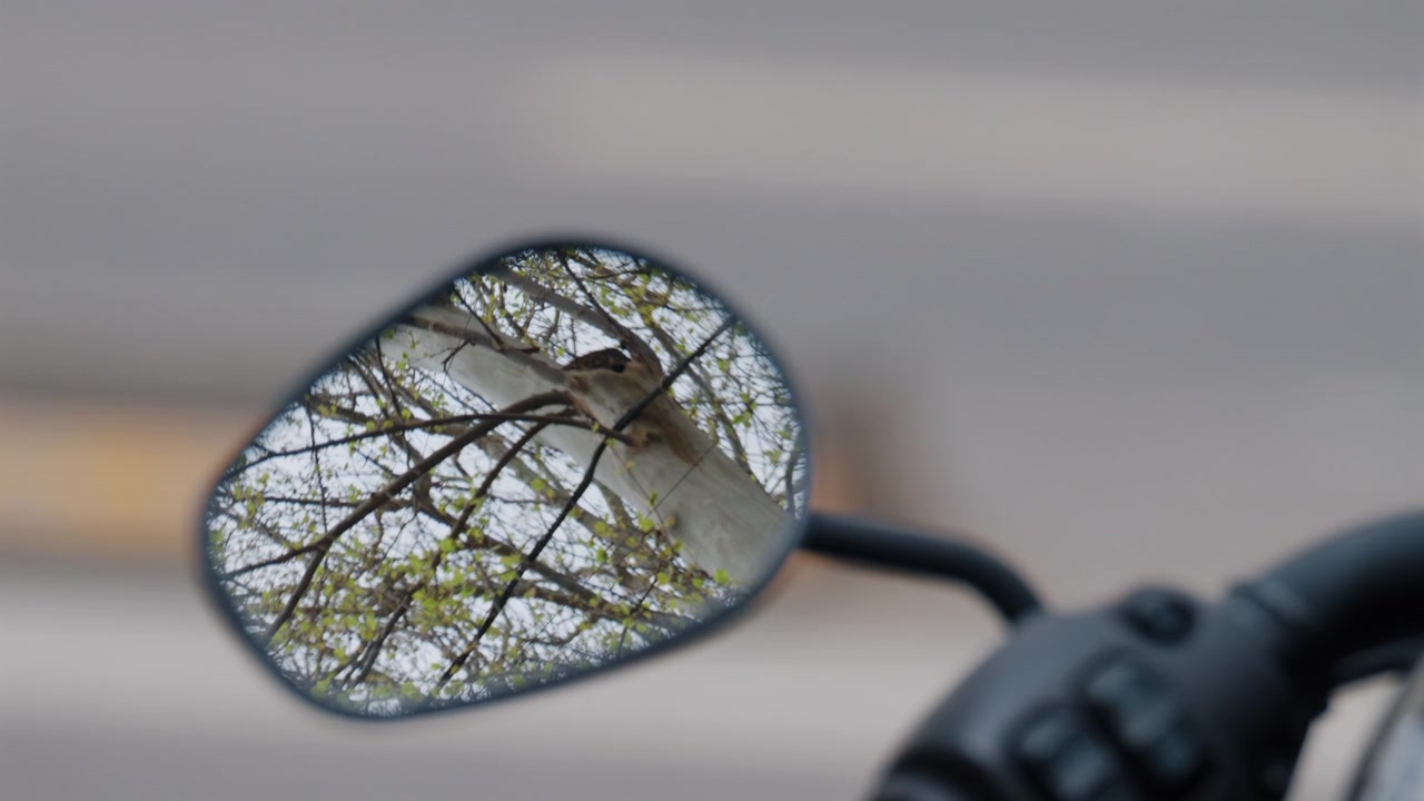 Vista aproximada de um espelho de motocicleta, controles do guidão, velocímetro e tanque de combustível reflexivo.