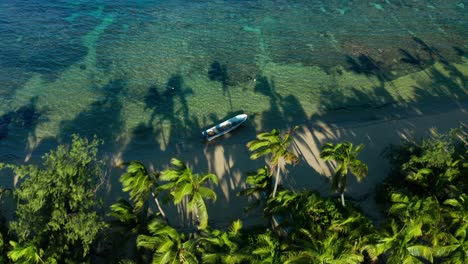 boat anchored on a exotic beach with lush palm trees moving in the wind, aerial