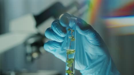 plant growth experiment in a laboratory