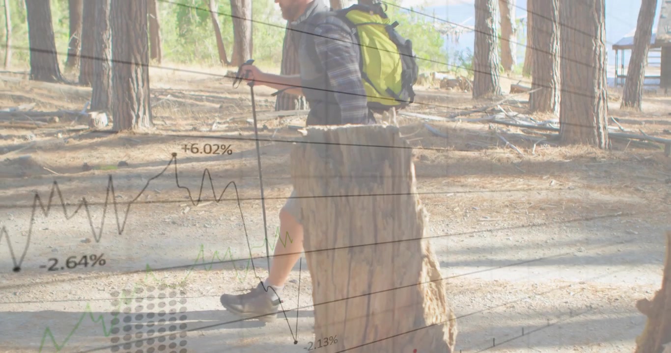 Hiker entering woodland and planting pole, shifting onto tree stumps for outdoor balance challenge